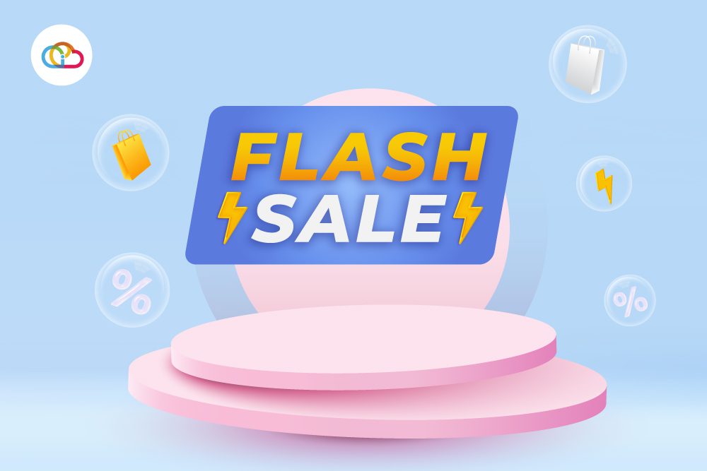 Flash sale artinya