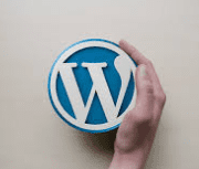 Thumbnail - Wordpress