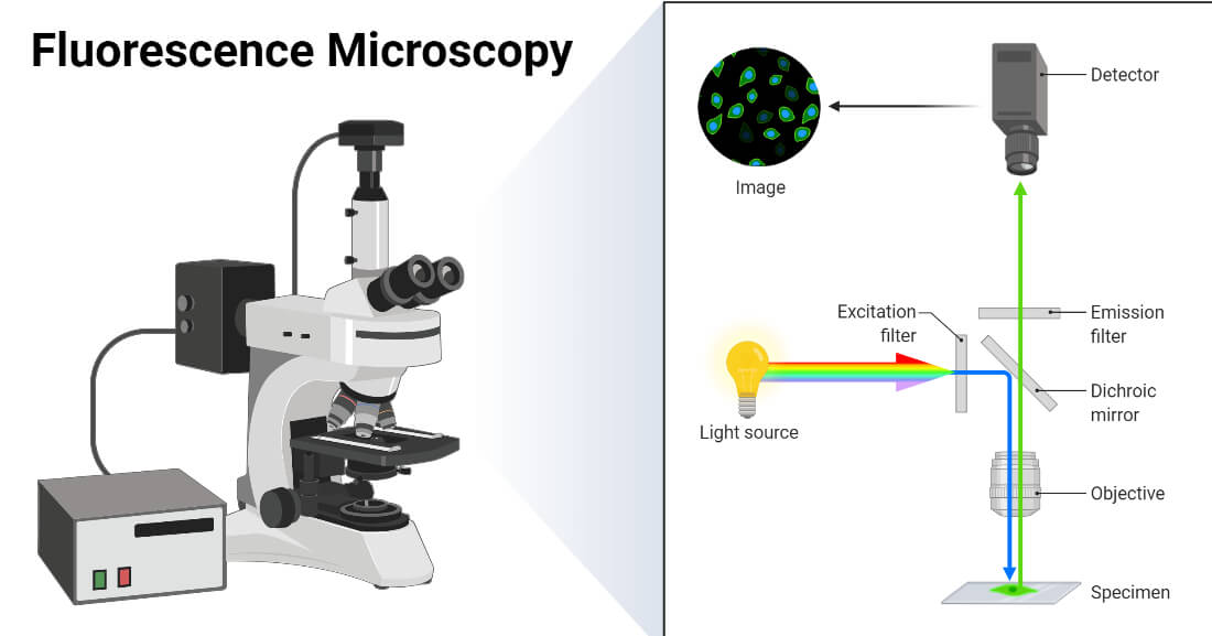 Apa itu microcopy