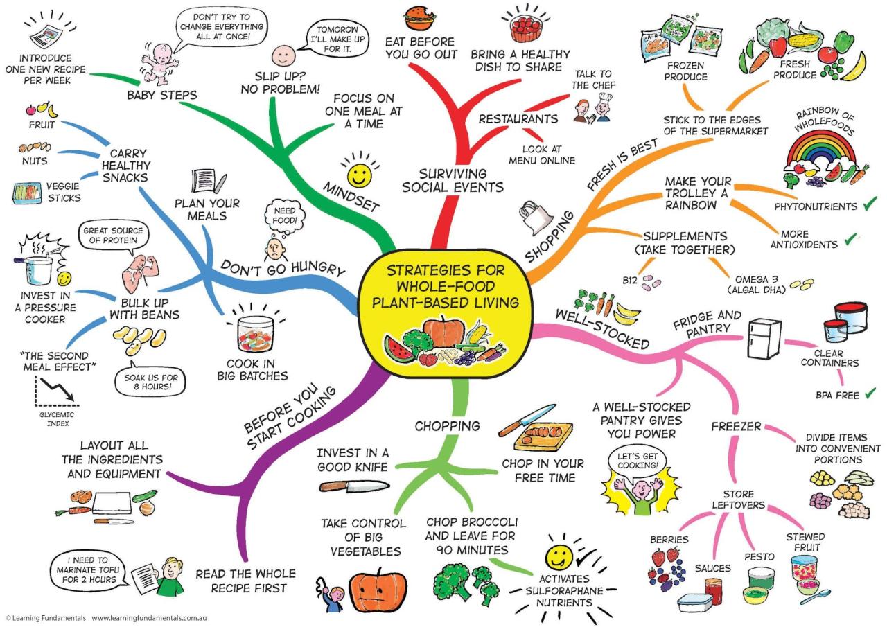 Mind map example strategies mapping maps food simple study living based system chapter whole transport plant examples learning mindmapping project