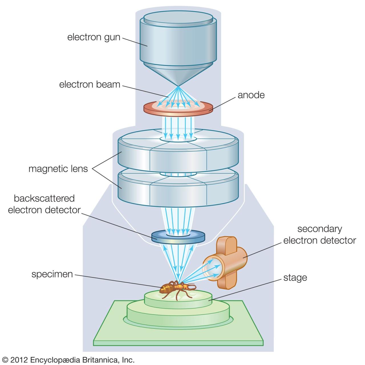 Apa itu microcopy