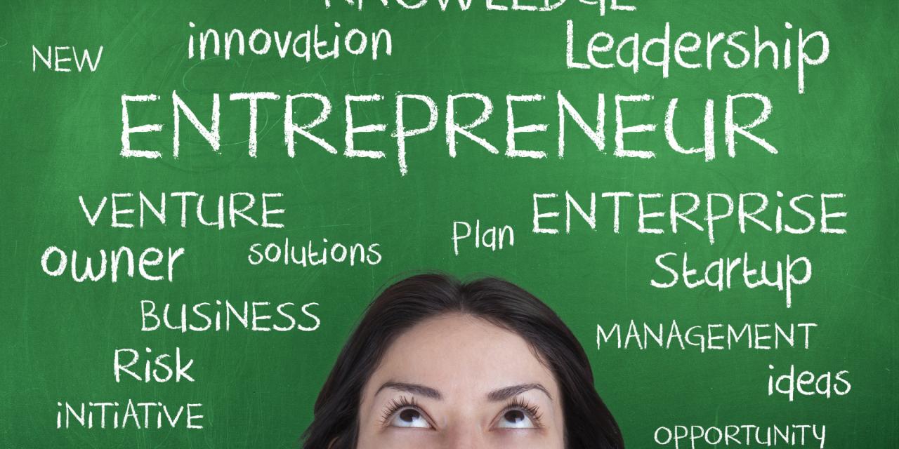 Entrepreneur functions education who