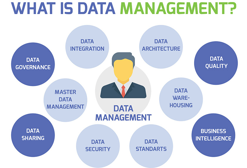 Apa itu manajemen data