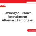 Lowongan Branch Recruitment Alfamart Lamongan