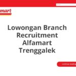 Lowongan Branch Recruitment Alfamart Trenggalek