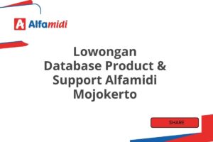 Lowongan Database Product & Support Alfamidi Mojokerto