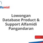 Lowongan Database Product & Support Alfamidi Pangandaran