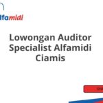 Lowongan Auditor Specialist Alfamidi Ciamis