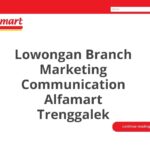 Lowongan Branch Marketing Communication Alfamart Trenggalek