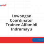 Lowongan Coordinator Trainee Alfamidi Indramayu