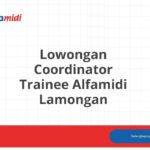 Lowongan Coordinator Trainee Alfamidi Lamongan