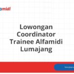 Lowongan Coordinator Trainee Alfamidi Lumajang