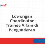 Lowongan Coordinator Trainee Alfamidi Pangandaran